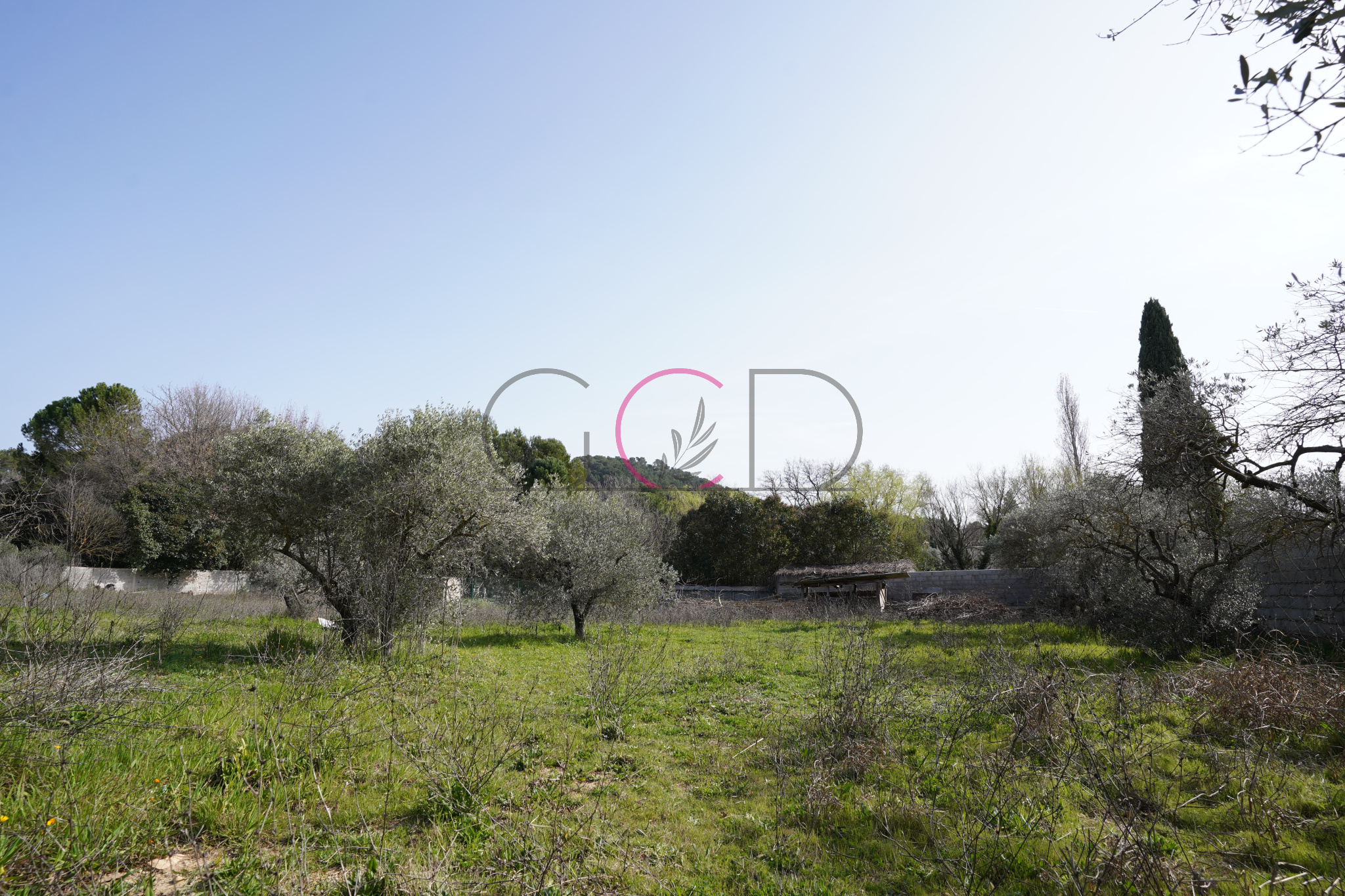 Agence immobilière de  Cabinet Drujon d'Astros Immobilier