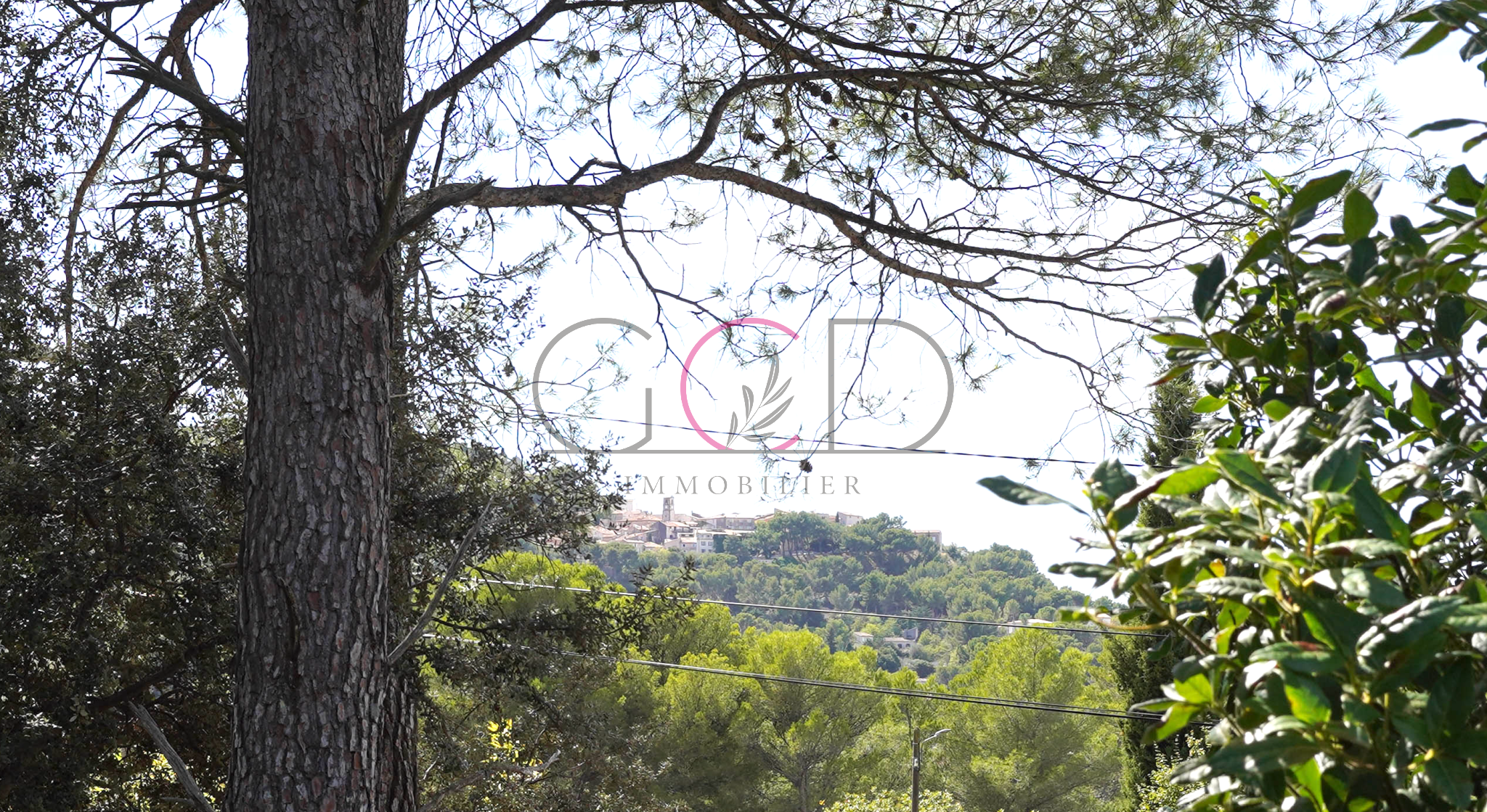 Agence immobilière de  Cabinet Drujon d'Astros Immobilier