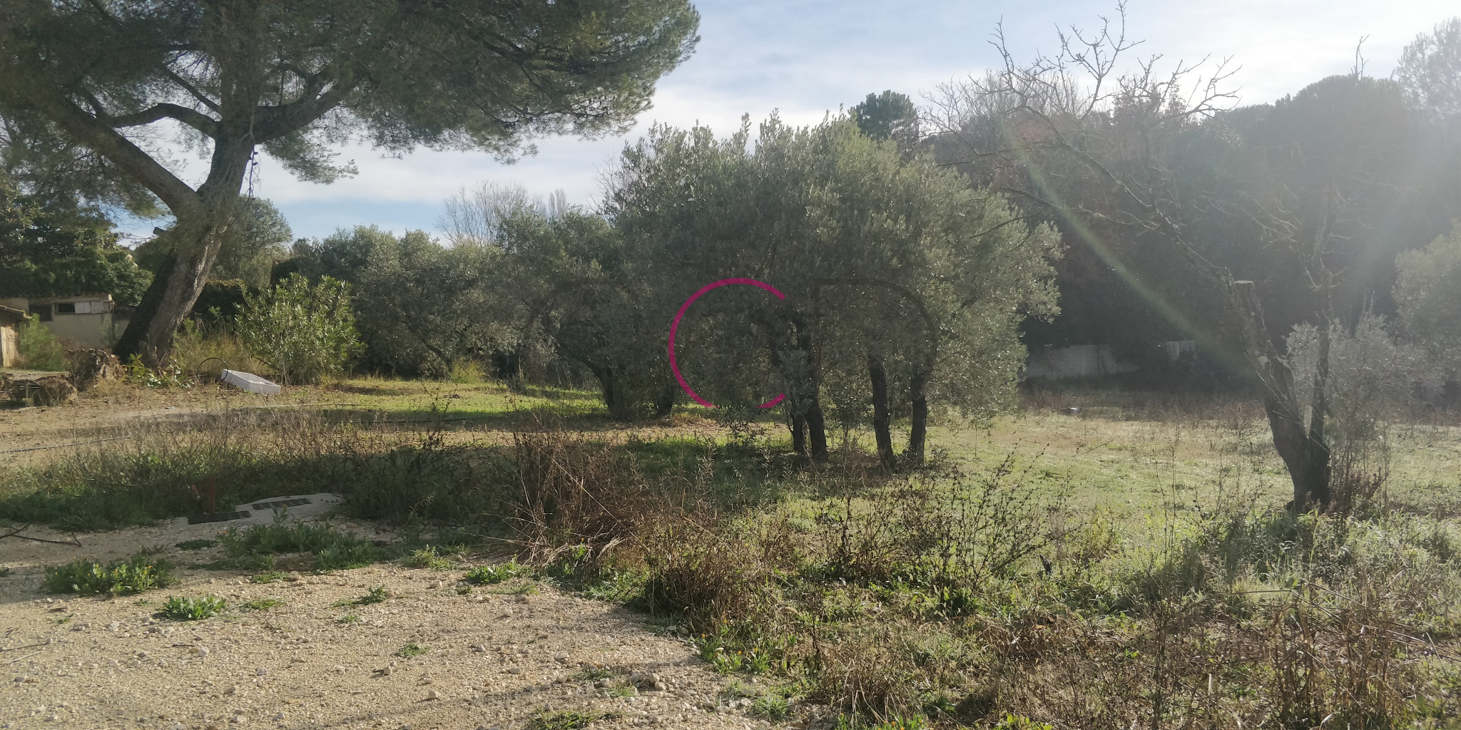 Agence immobilière de  Cabinet Drujon d'Astros Immobilier